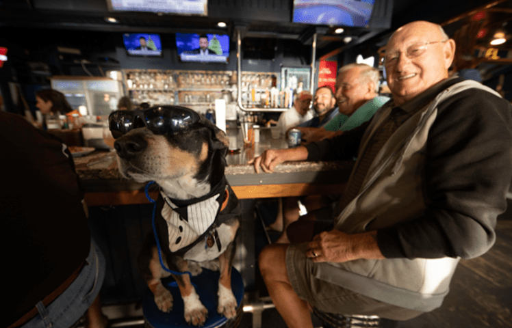 A man and his dog are sitting at the bar.