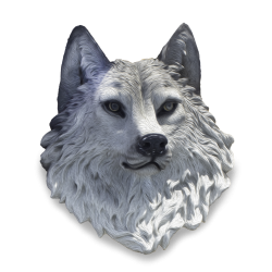 Lobo del Mar Hair Lobo del Mar Hair